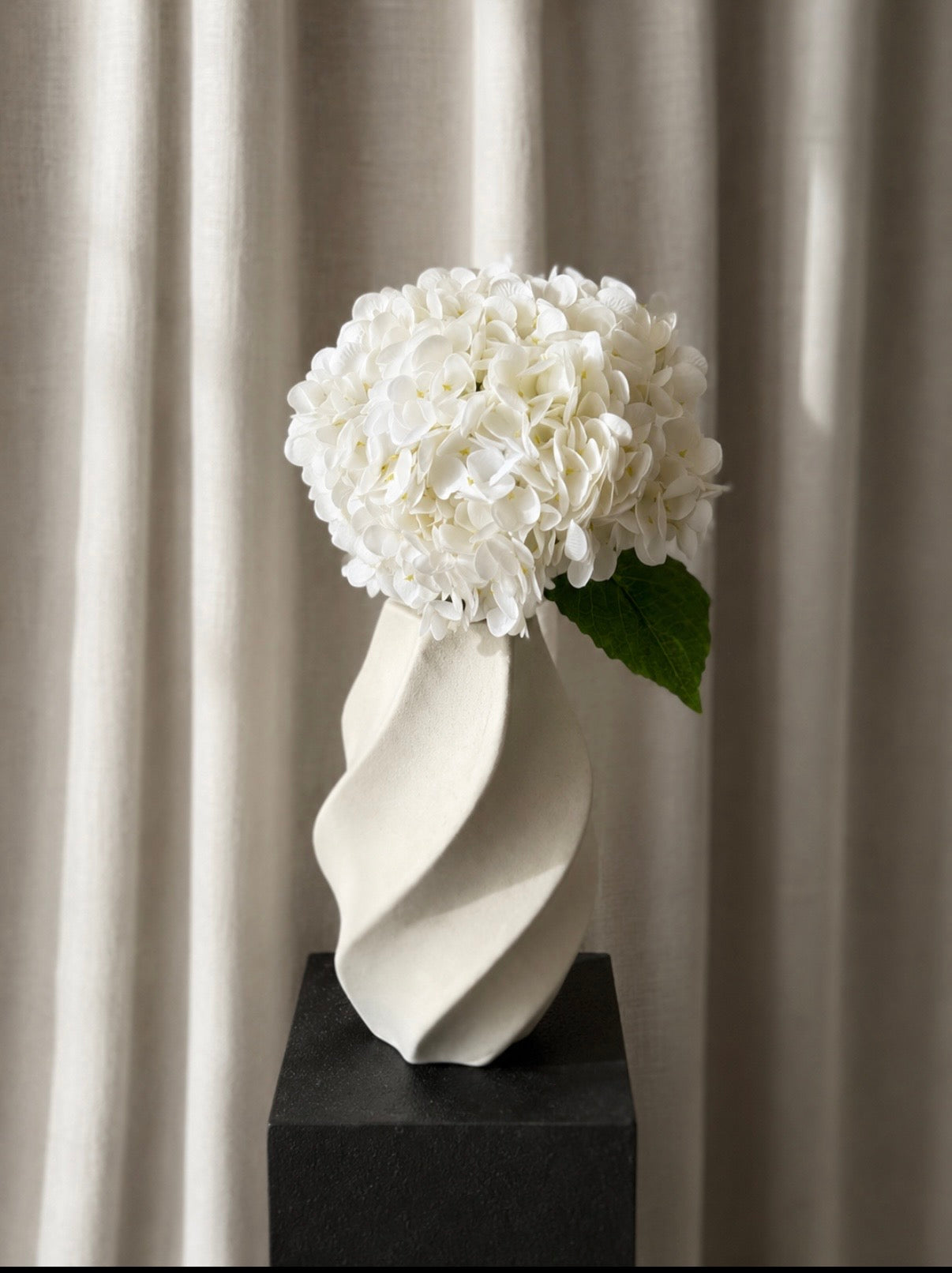 Hortensia