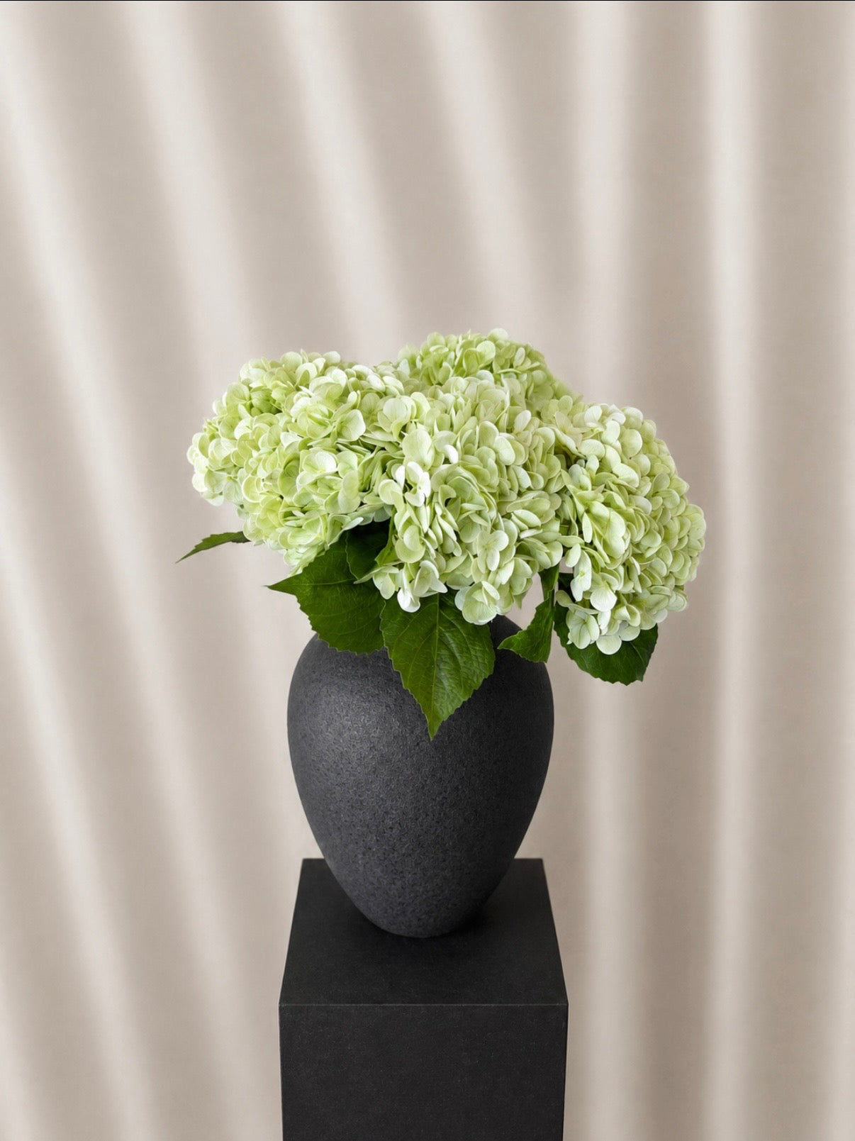 Hortensia bouquet