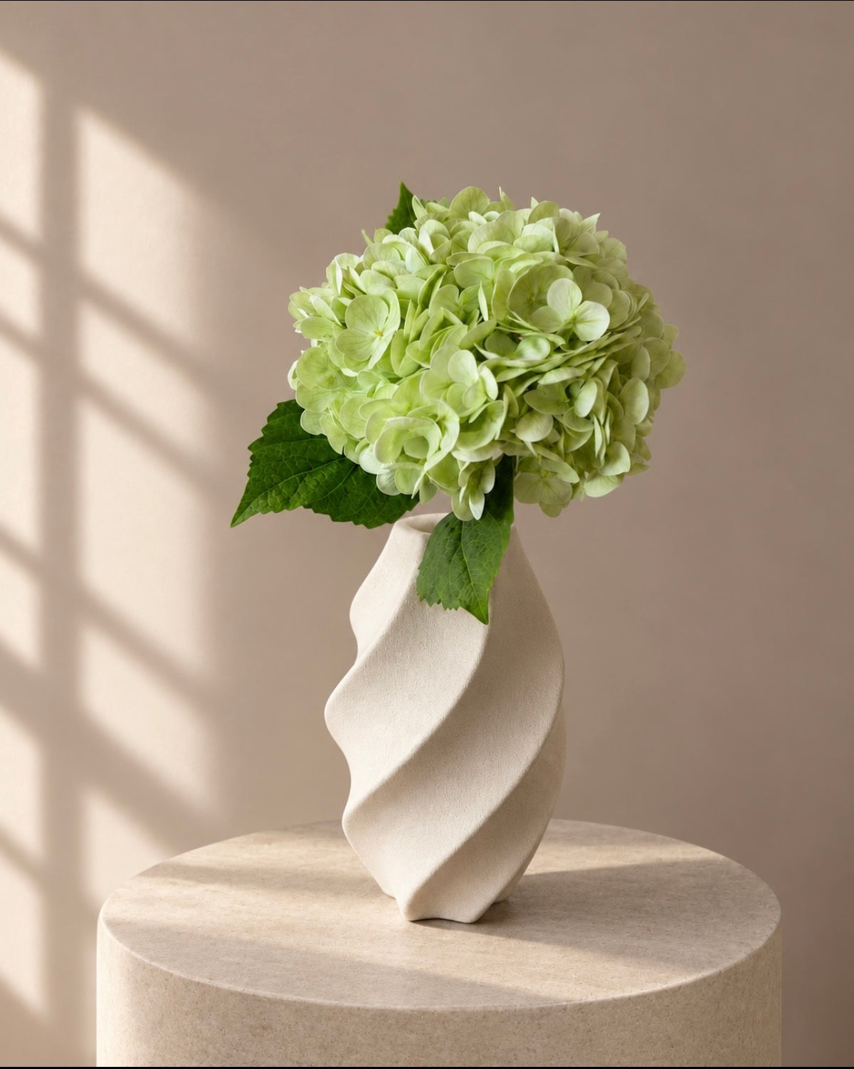 Hortensia