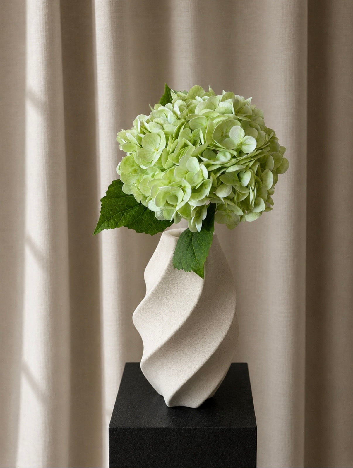 Hortensia
