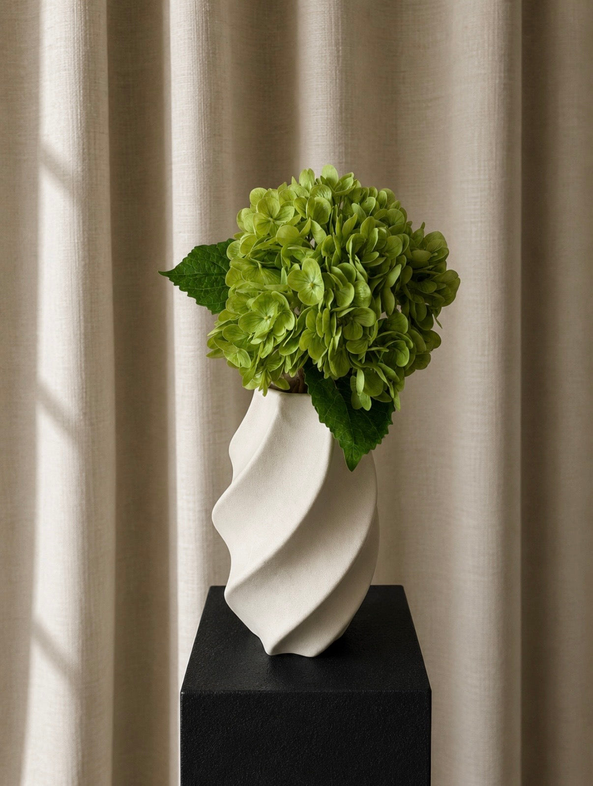 Hortensia