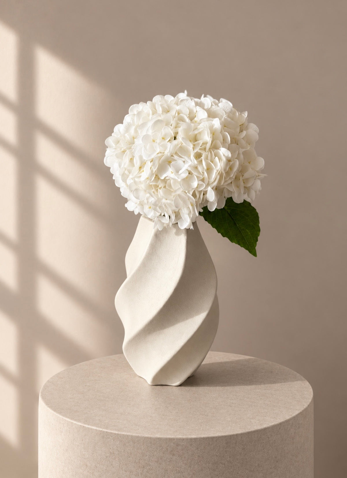 Hortensia